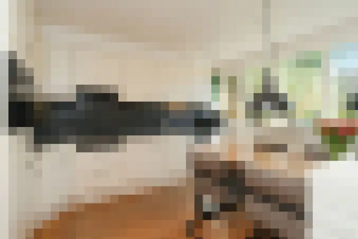 Menkemaborg 39 Almelo thumbnail 12