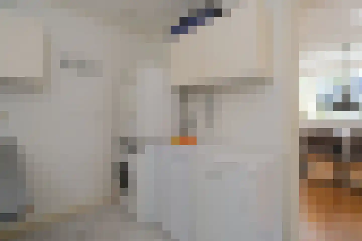 Menkemaborg 39 Almelo thumbnail 16