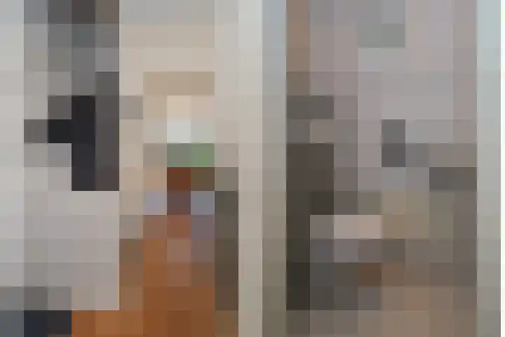 Menkemaborg 39 Almelo thumbnail 17