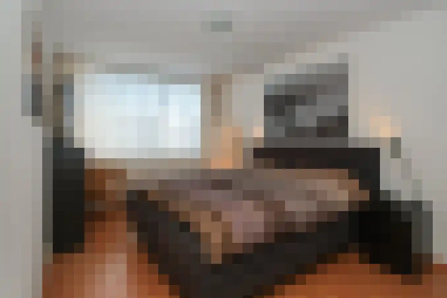 Menkemaborg 39 Almelo thumbnail 18