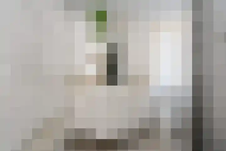 Menkemaborg 39 Almelo thumbnail 22