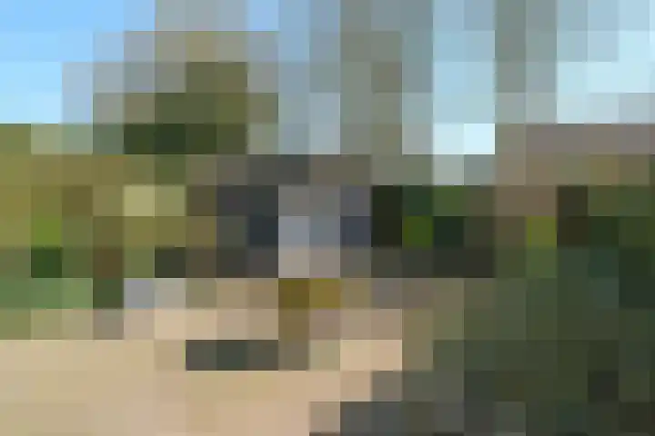 Menkemaborg 39 Almelo thumbnail 25