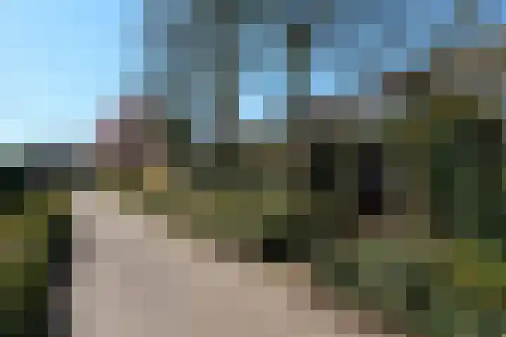 Menkemaborg 39 Almelo thumbnail 26
