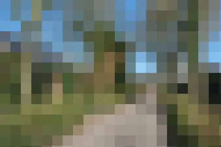 Menkemaborg 39 Almelo thumbnail 27