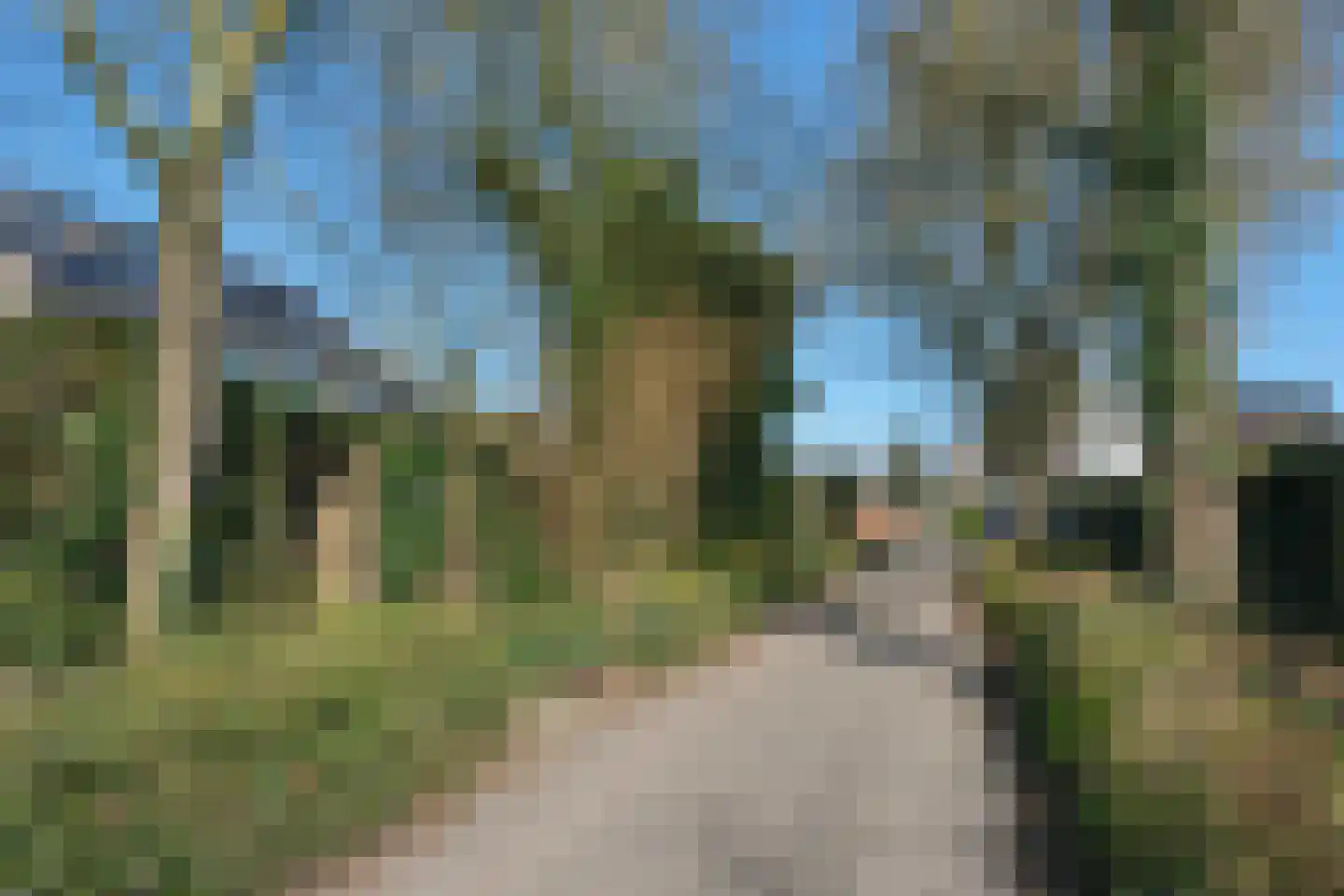 Menkemaborg 39 Almelo thumbnail 27