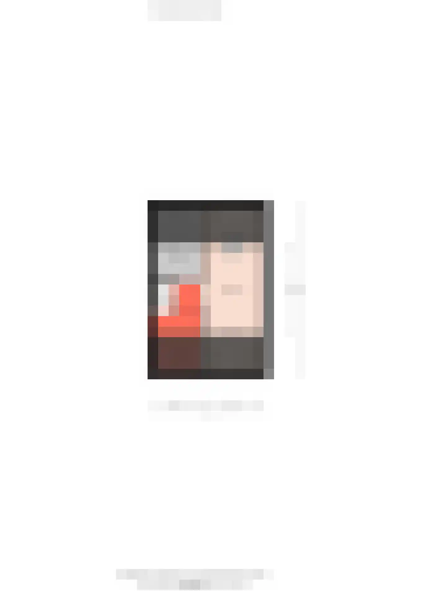 Menkemaborg 39 Almelo thumbnail 30