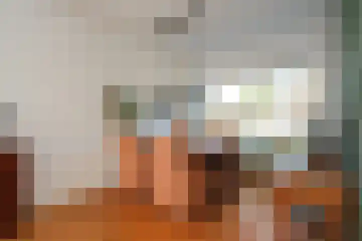 Menkemaborg 39 Almelo thumbnail 9