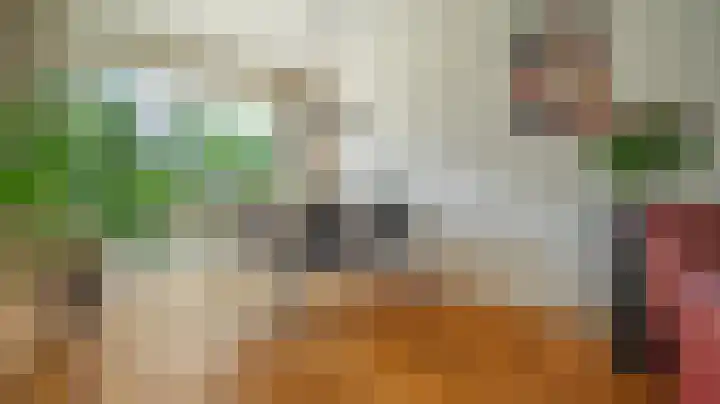 Menkemaborg 4 Almelo thumbnail 5