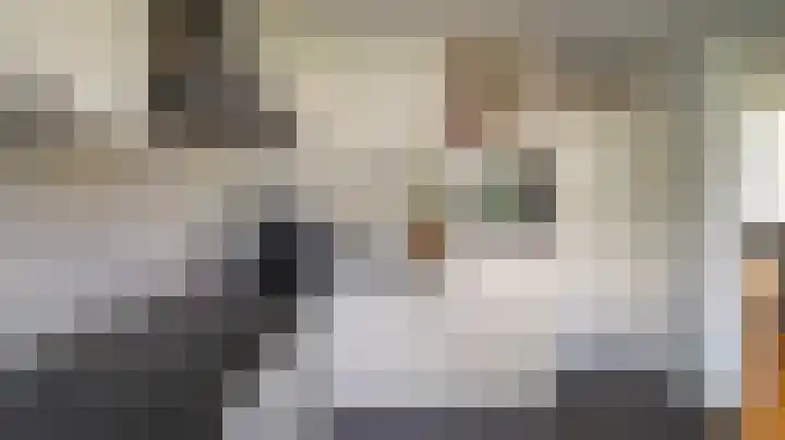 Menkemaborg 4 Almelo thumbnail 8