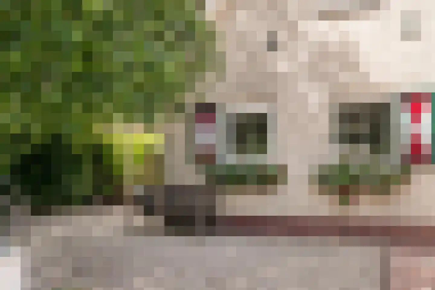 Menkemaborg 43 Lelystad thumbnail 4