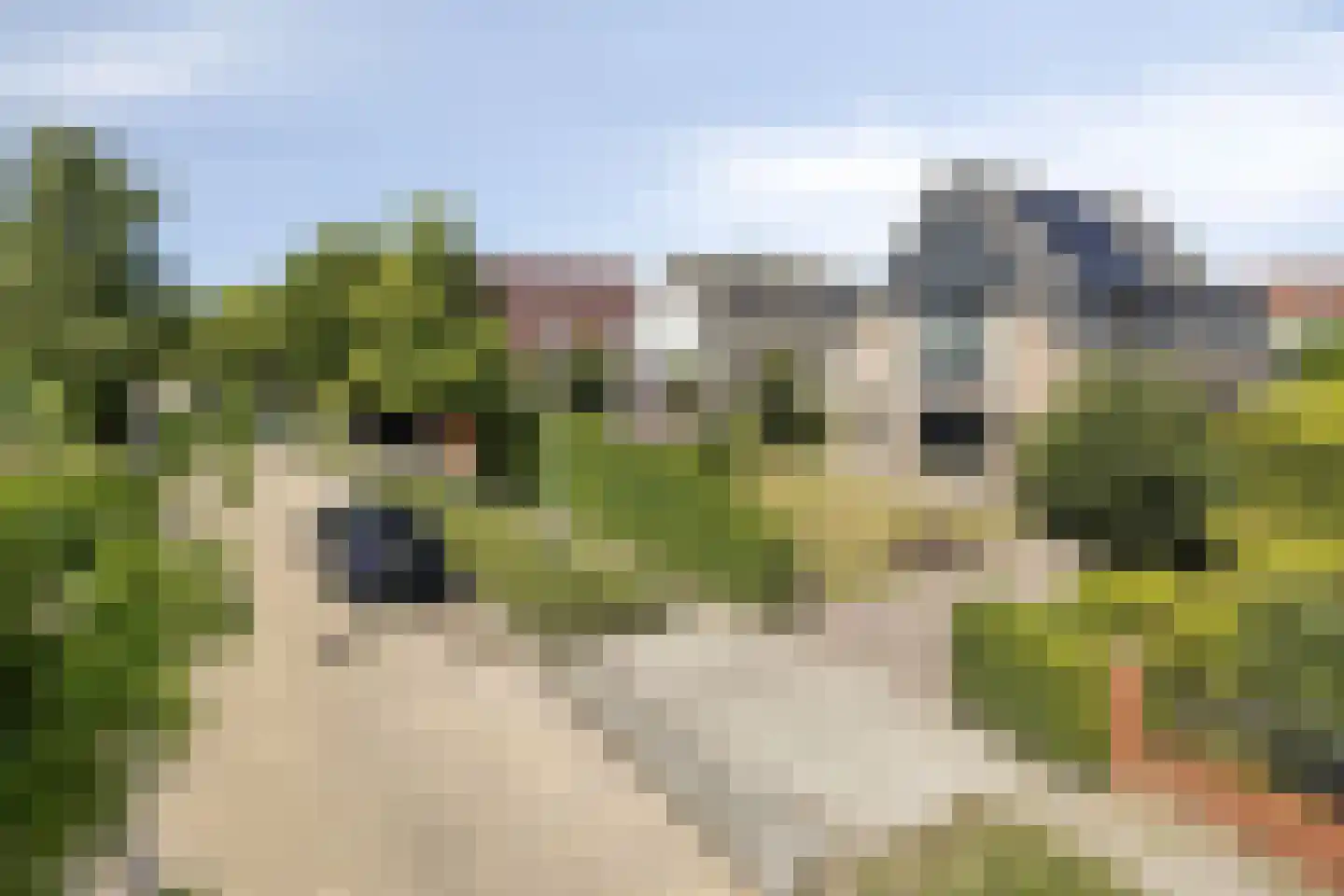Menkemaborg 55 Lelystad thumbnail 13