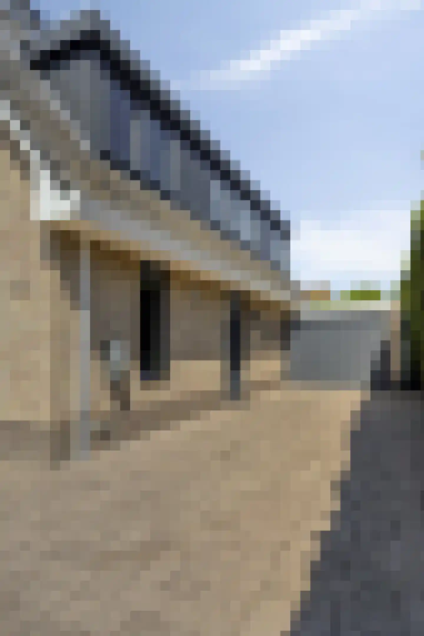 Menkemaborg 55 Lelystad thumbnail 20
