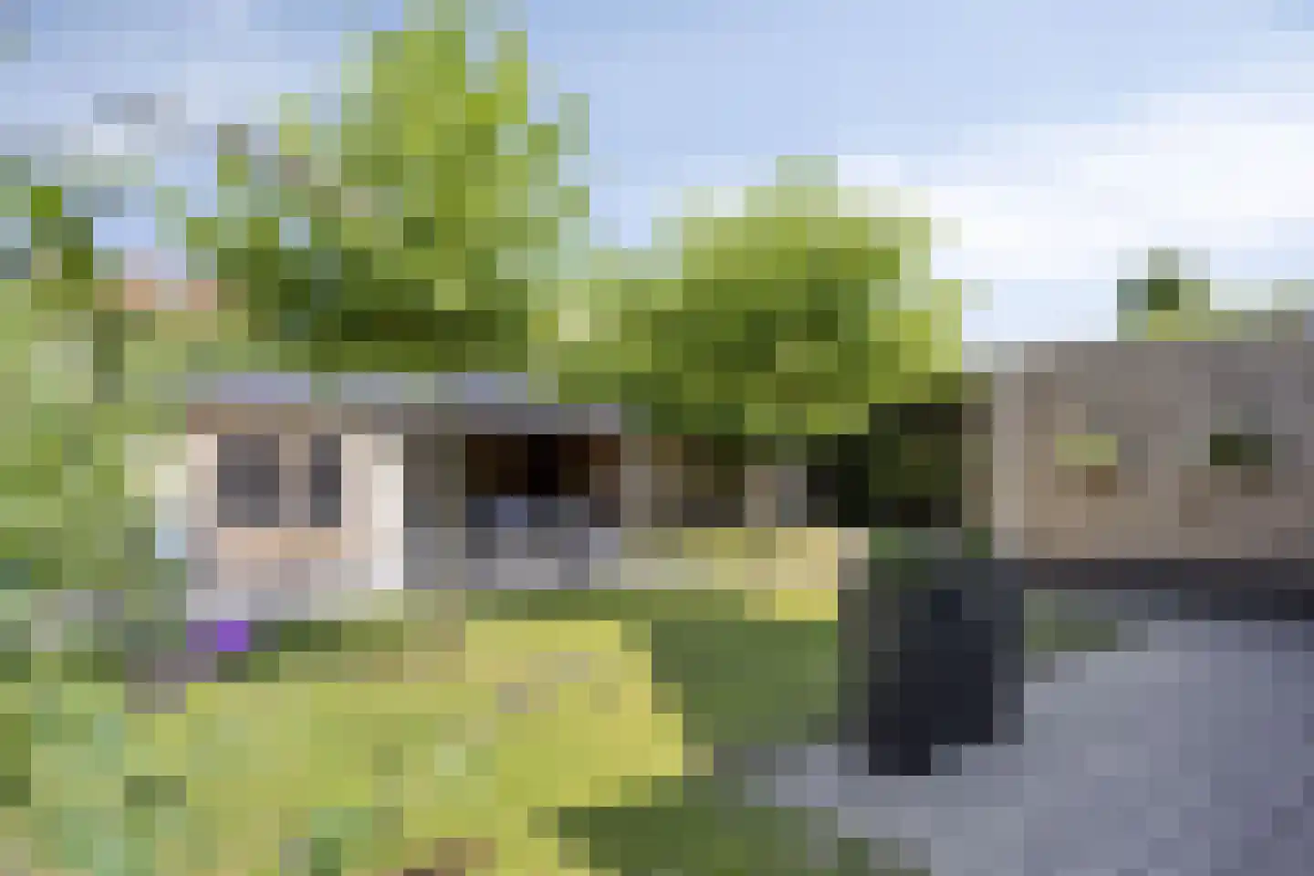 Menkemaborg 55 Lelystad thumbnail 81