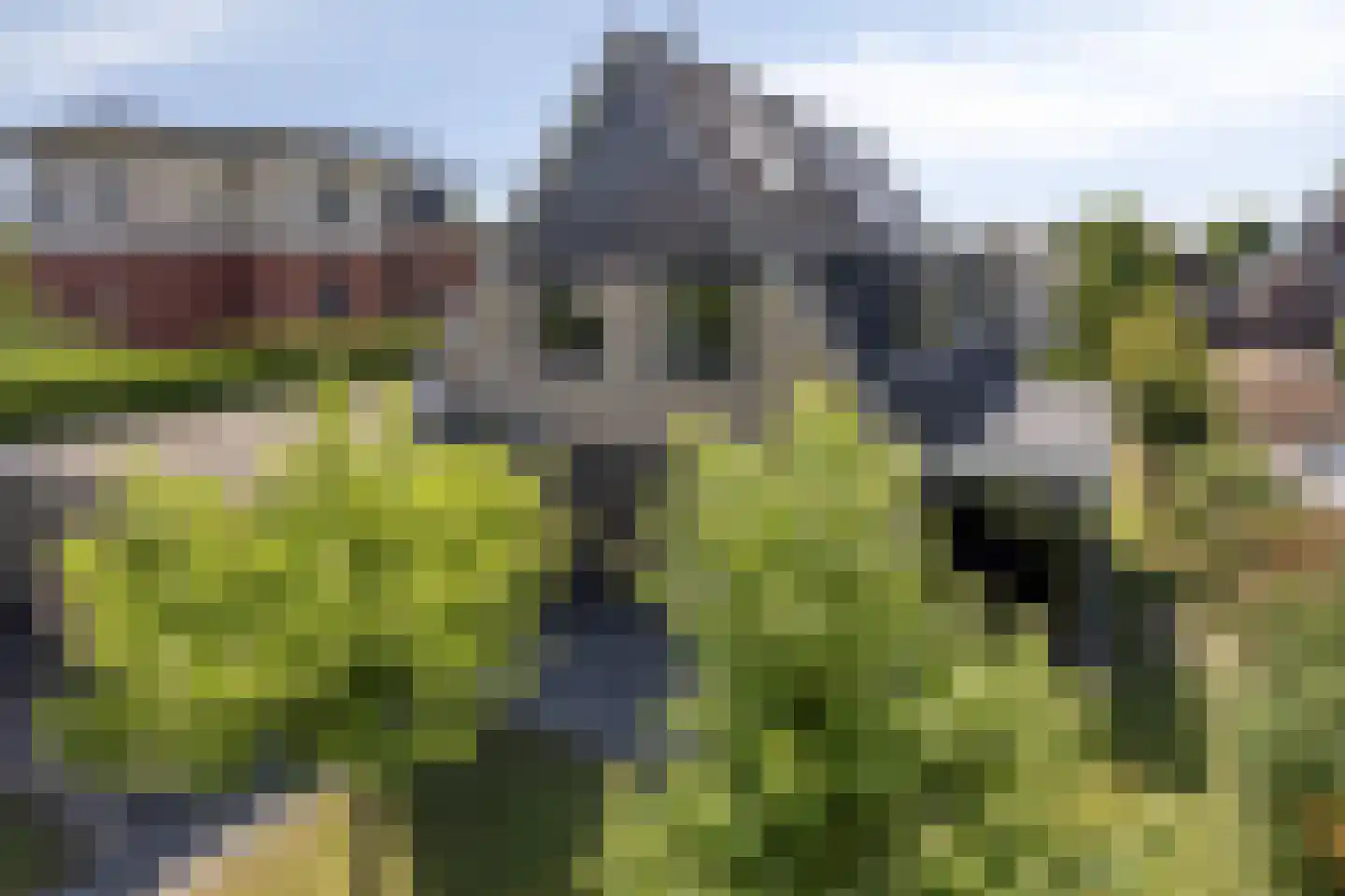 Menkemaborg 55 Lelystad thumbnail 83
