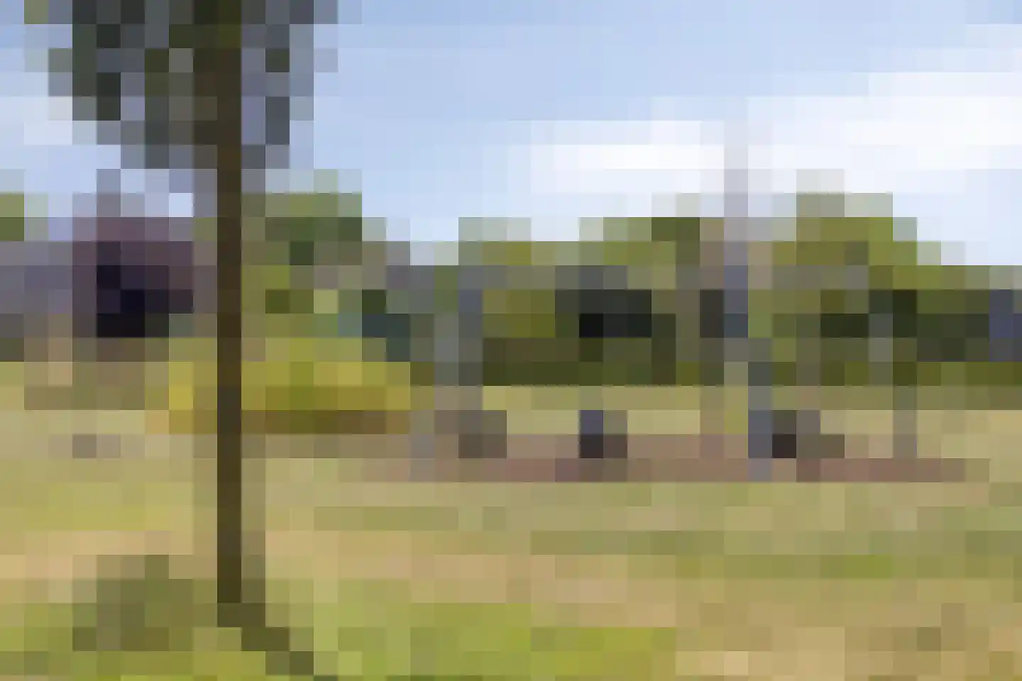 Menkemaborg 55 Lelystad thumbnail 84