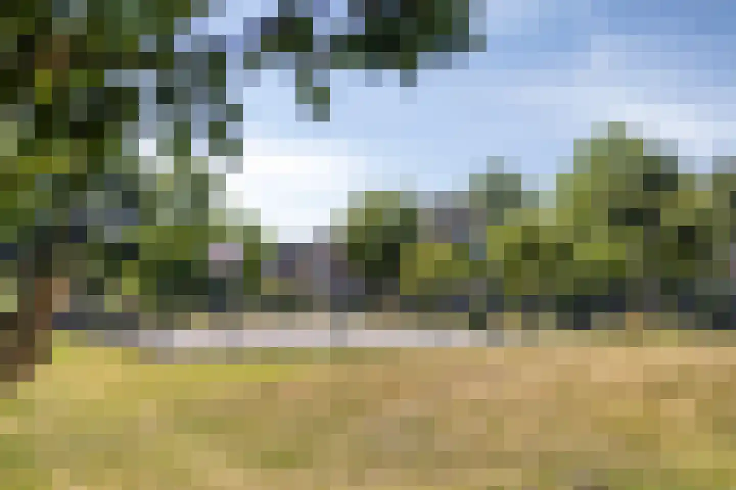 Menkemaborg 55 Lelystad thumbnail 86