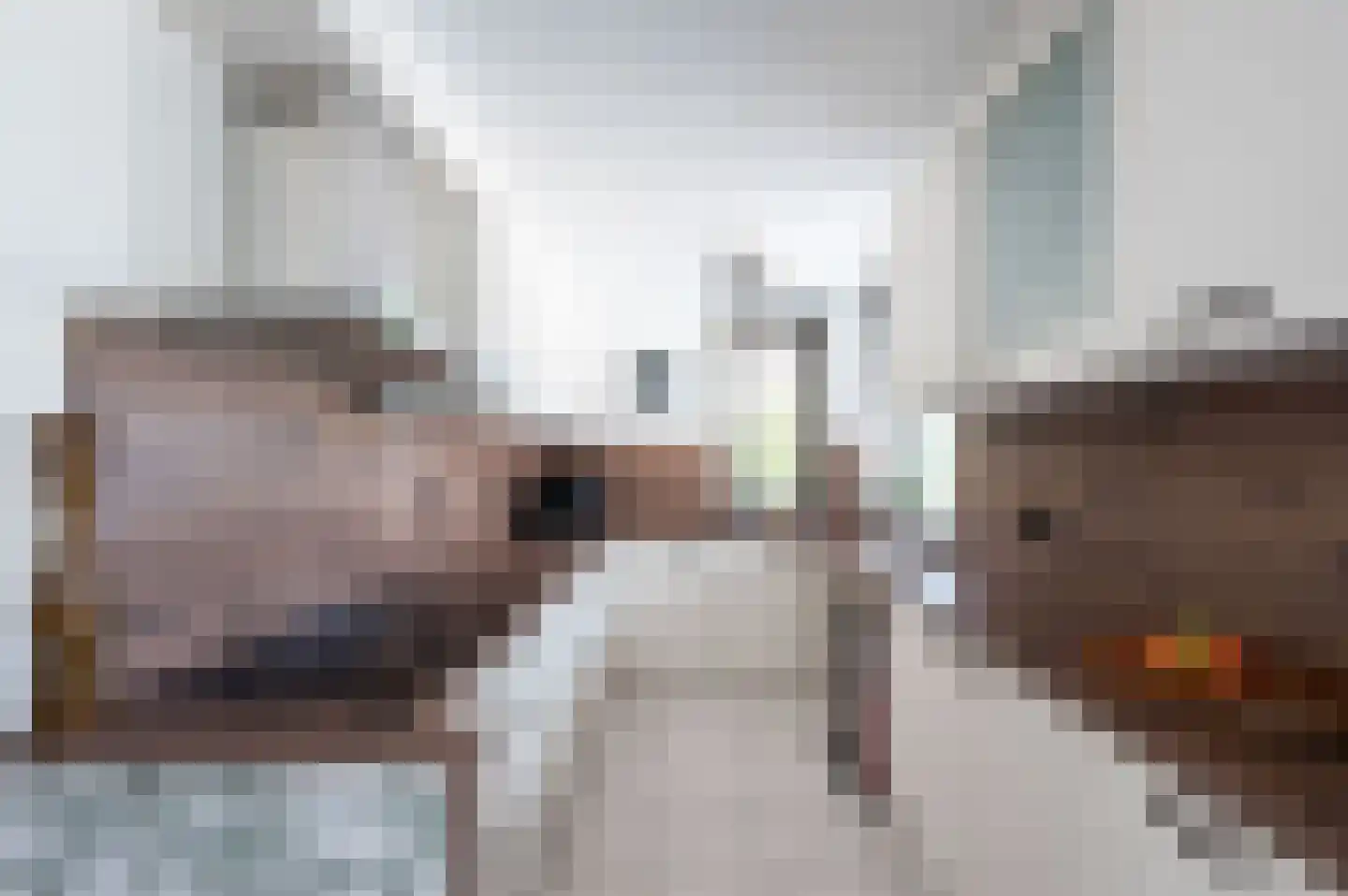 Menkemaborgstraat 2 Hellevoetsluis thumbnail 4
