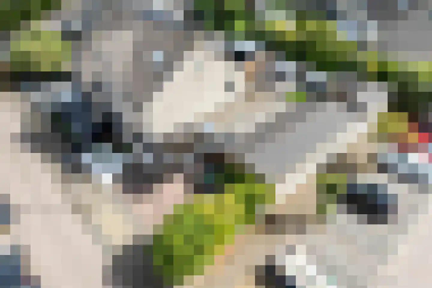 Menkemaborgstraat 2 Hellevoetsluis thumbnail 7