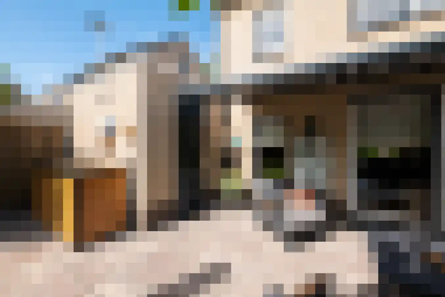 Menkemaborgstraat 4 a Hellevoetsluis thumbnail 35