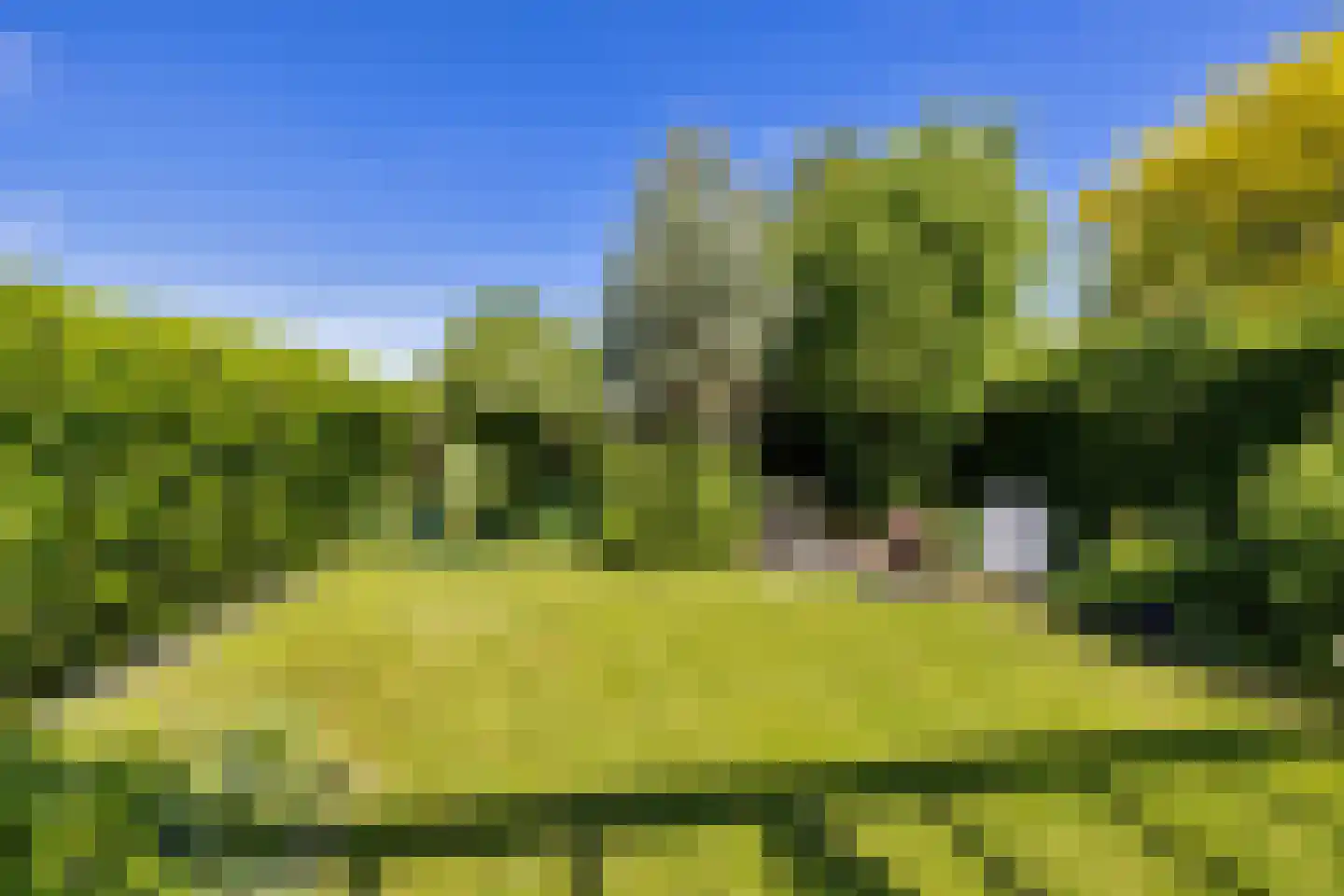 Menkemaborgstraat 44 Hellevoetsluis thumbnail 27