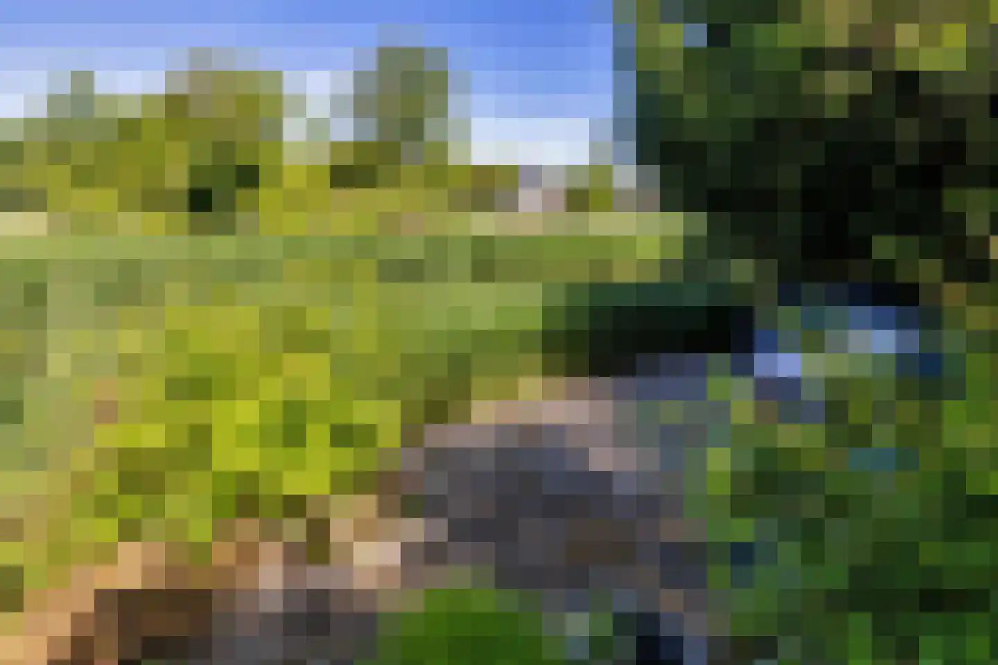 Menkemaborgstraat 44 Hellevoetsluis thumbnail 28