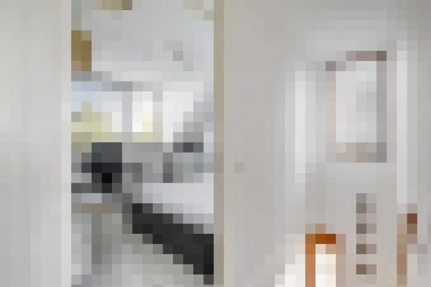 Menkemaborgstraat 44 Hellevoetsluis thumbnail 33