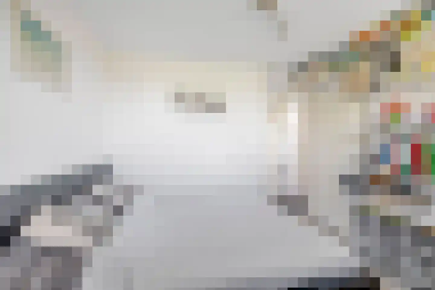 Menkemaborgstraat 44 Hellevoetsluis thumbnail 35