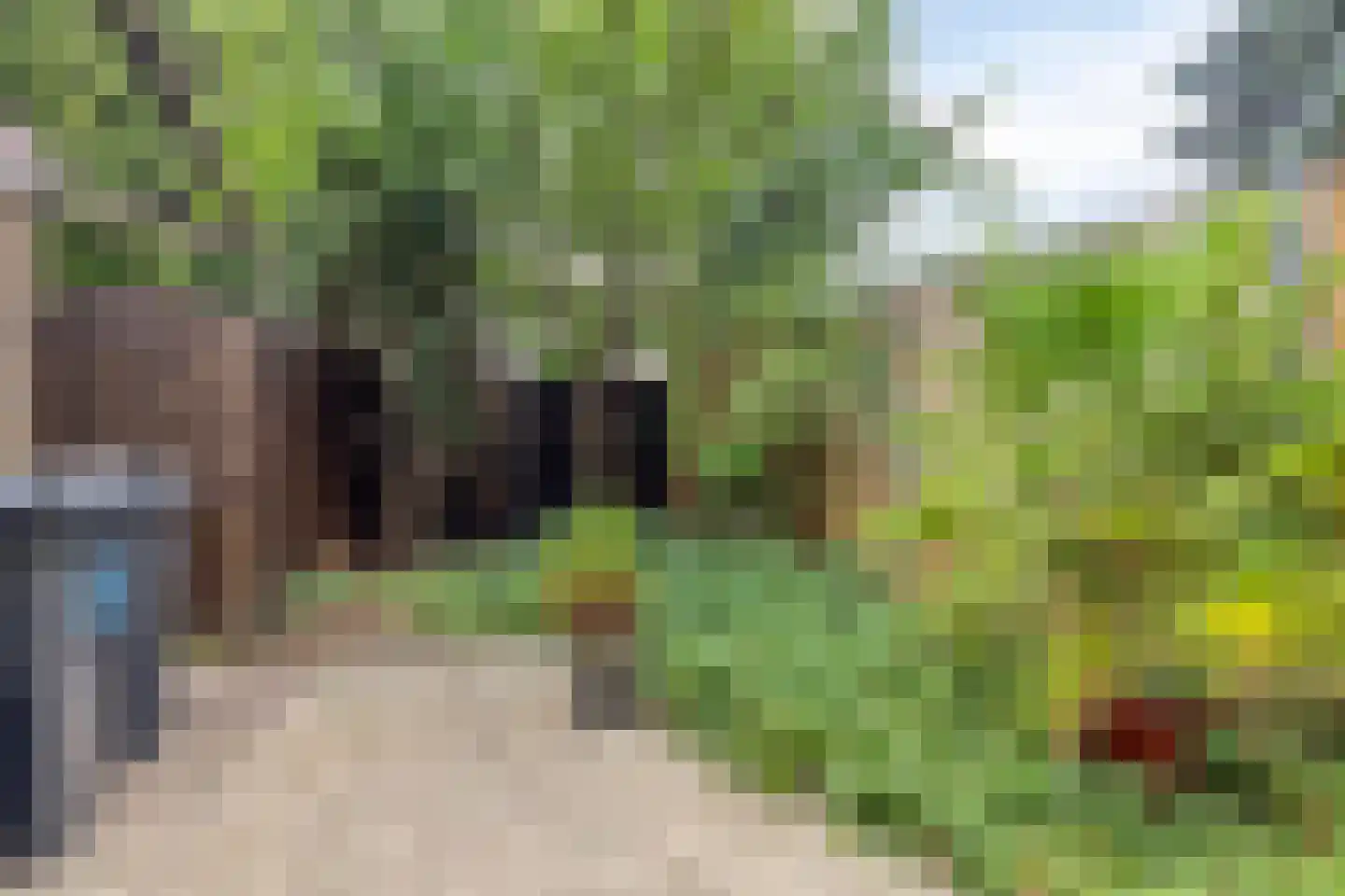 Menkemaborgstraat 6 Rotterdam thumbnail 11