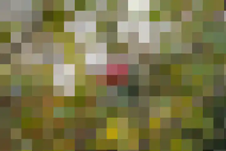 Menkemaheerd 1 Groningen thumbnail 35