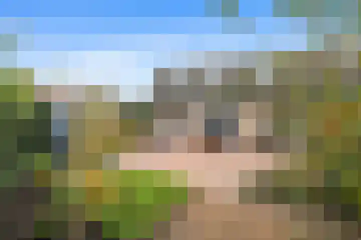 Menkemaheerd 1 Groningen thumbnail 36