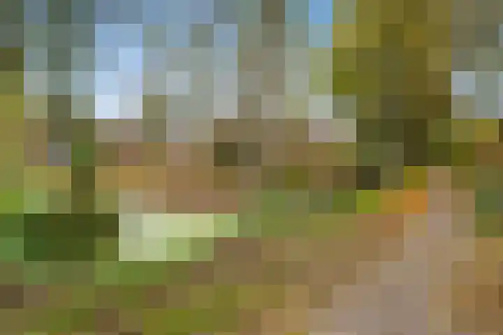 Menkemaheerd 1 Groningen thumbnail 40