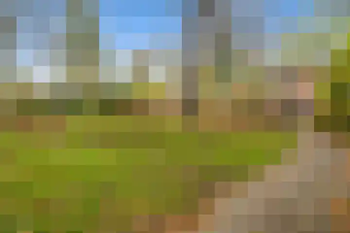 Menkemaheerd 1 Groningen thumbnail 41