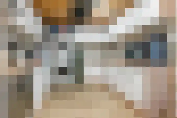 Menkemaheerd 1 Groningen thumbnail 8