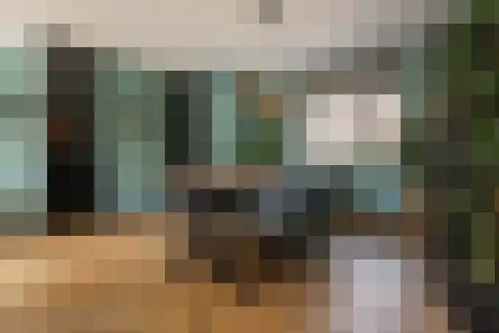 Menkemaheerd 3 Groningen thumbnail 10