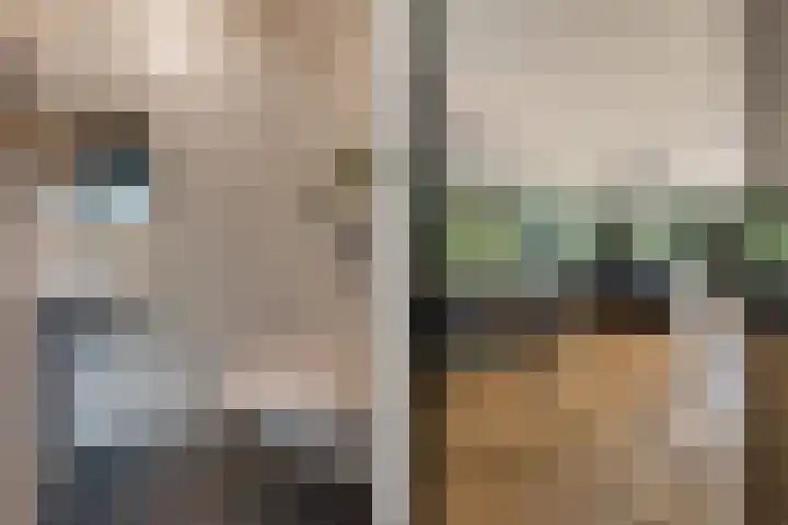 Menkemaheerd 3 Groningen thumbnail 15