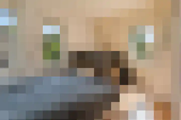 Menkemaheerd 3 Groningen thumbnail 21