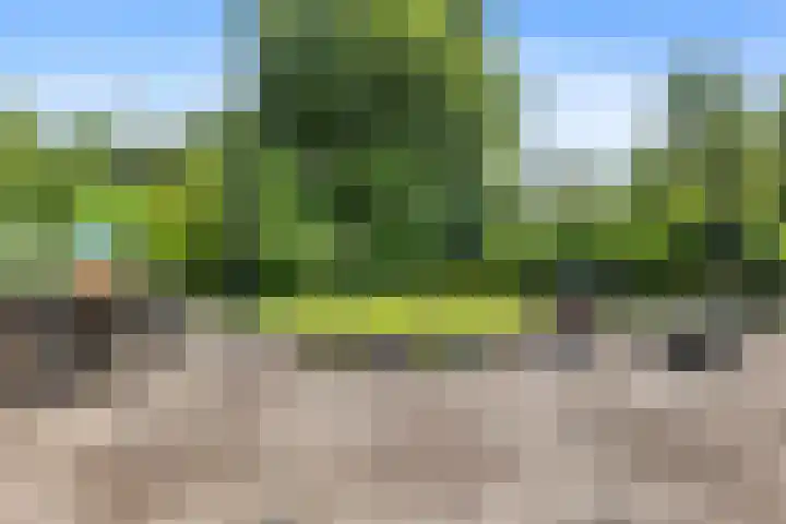 Menkemaheerd 3 Groningen thumbnail 26