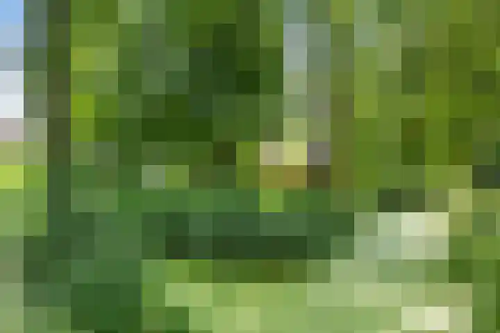 Menkemaheerd 3 Groningen thumbnail 34