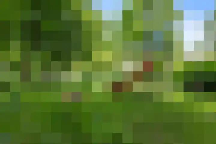 Menkemaheerd 3 Groningen thumbnail 35