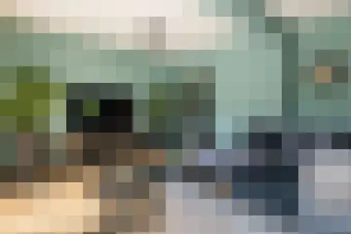 Menkemaheerd 3 Groningen thumbnail 7