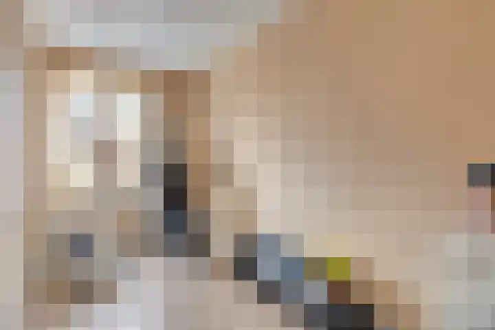 Menkemastraat 55 Den Haag thumbnail 27