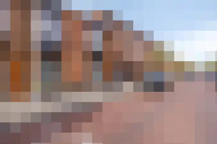 Menkemastraat 55 Den Haag thumbnail 6