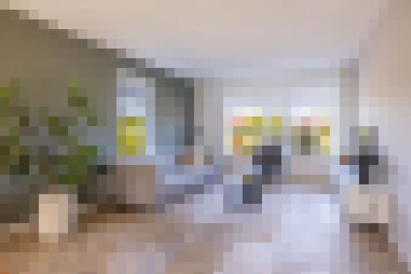 Menkingastrjitte 6 Stiens thumbnail 17