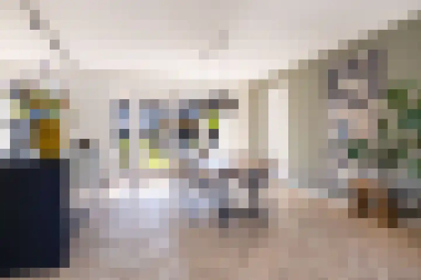 Menkingastrjitte 6 Stiens thumbnail 20