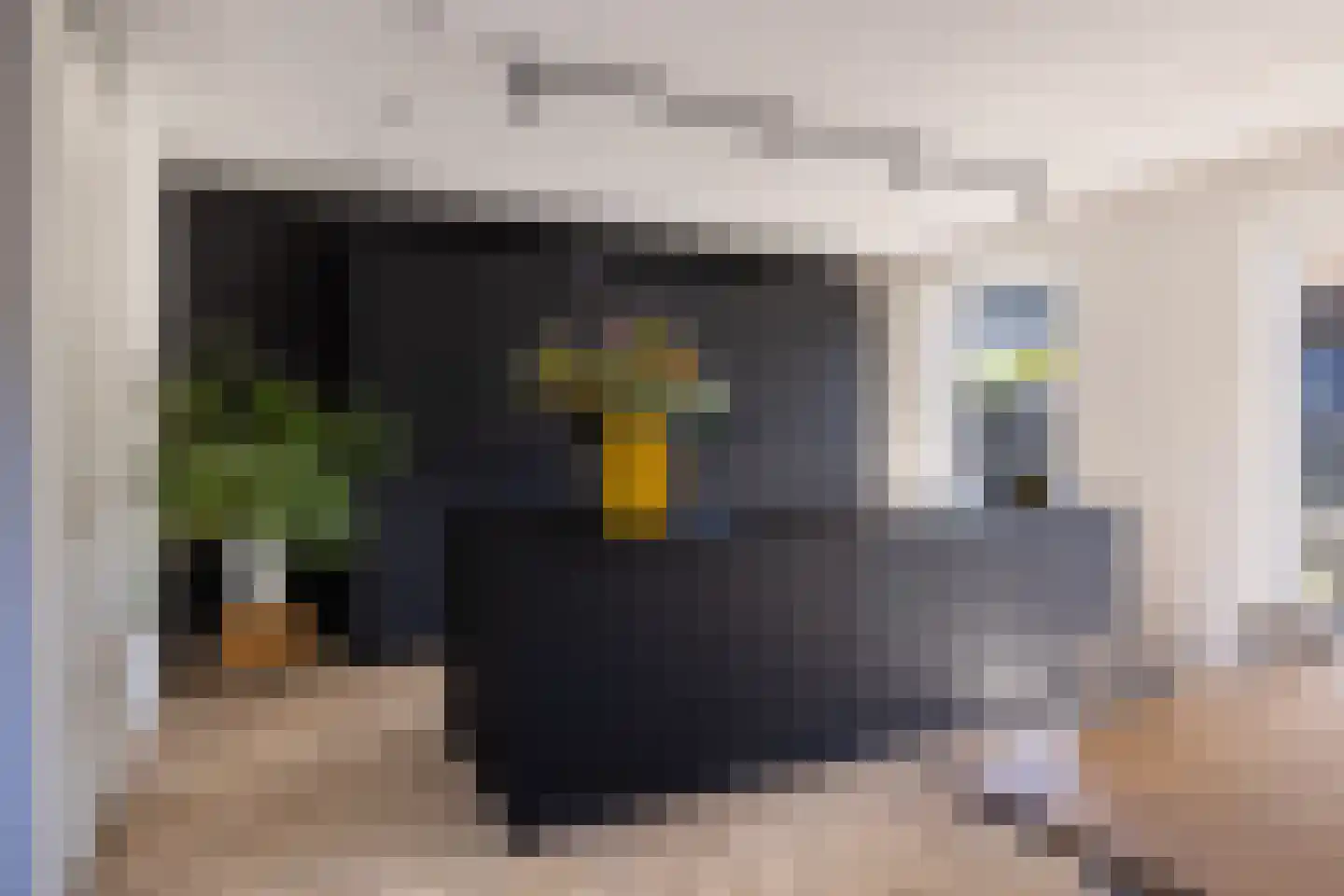 Menkingastrjitte 6 Stiens thumbnail 22