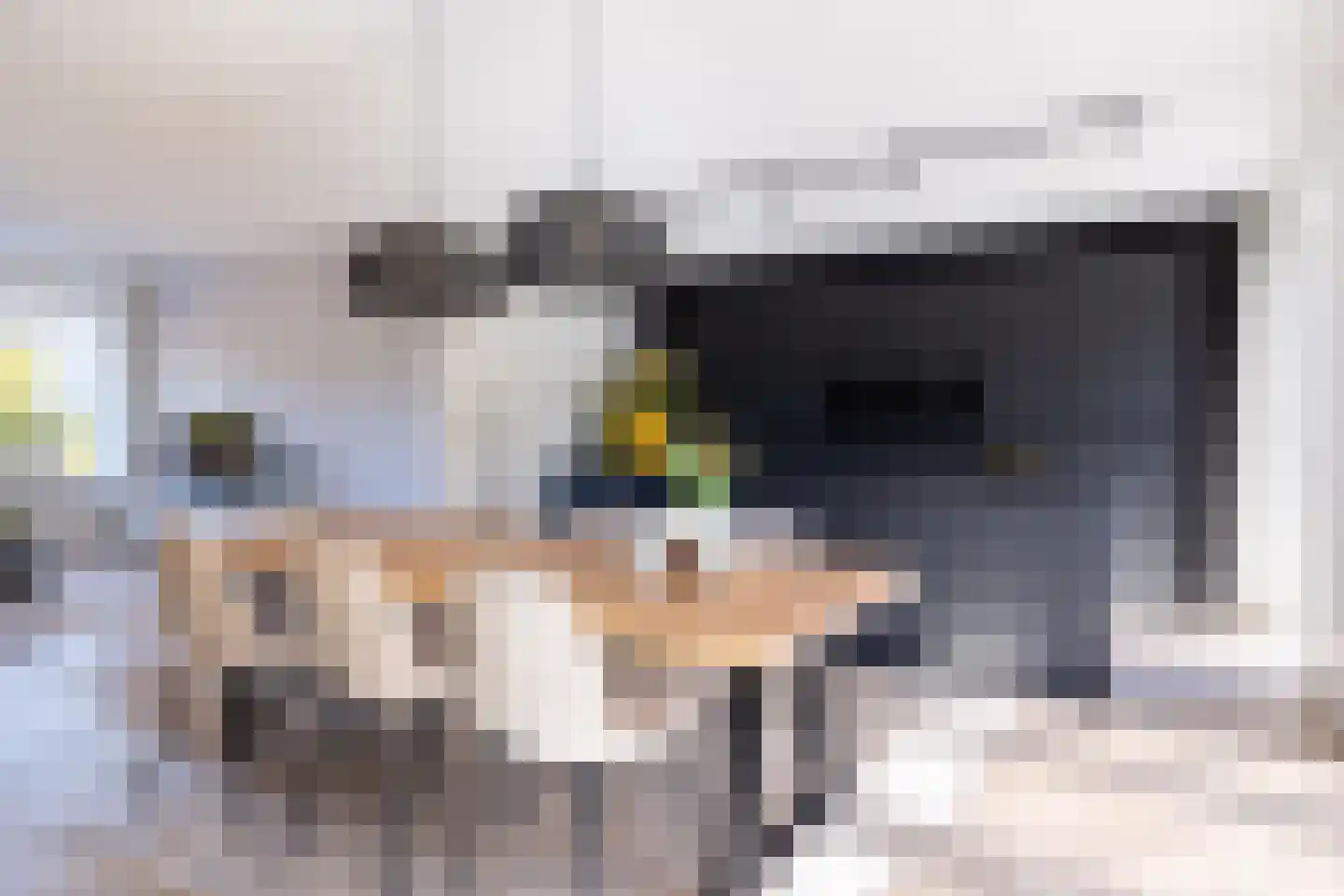 Menkingastrjitte 6 Stiens thumbnail 24
