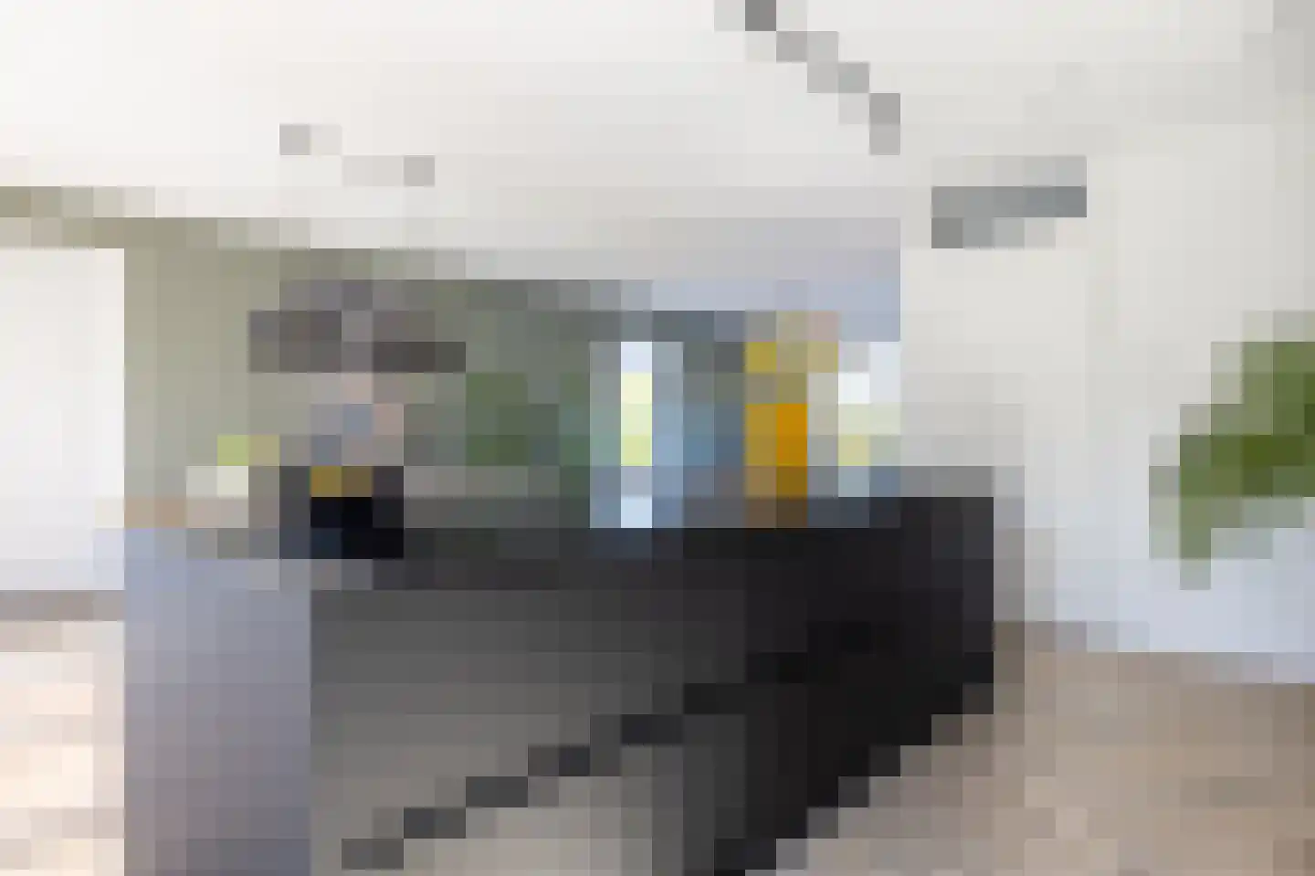 Menkingastrjitte 6 Stiens thumbnail 27