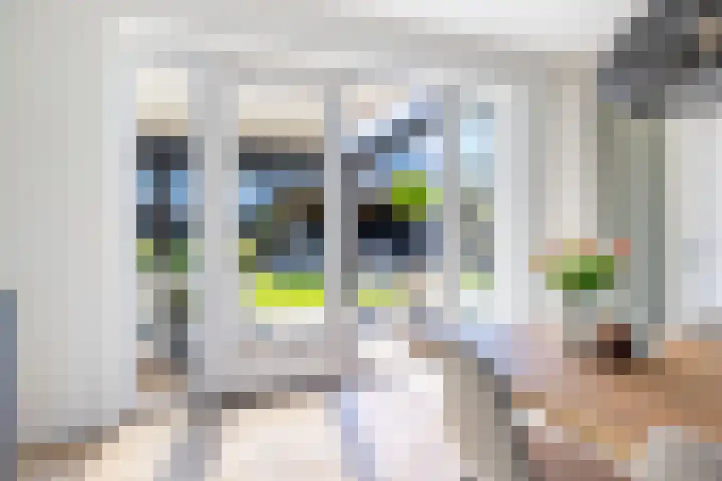 Menkingastrjitte 6 Stiens thumbnail 30