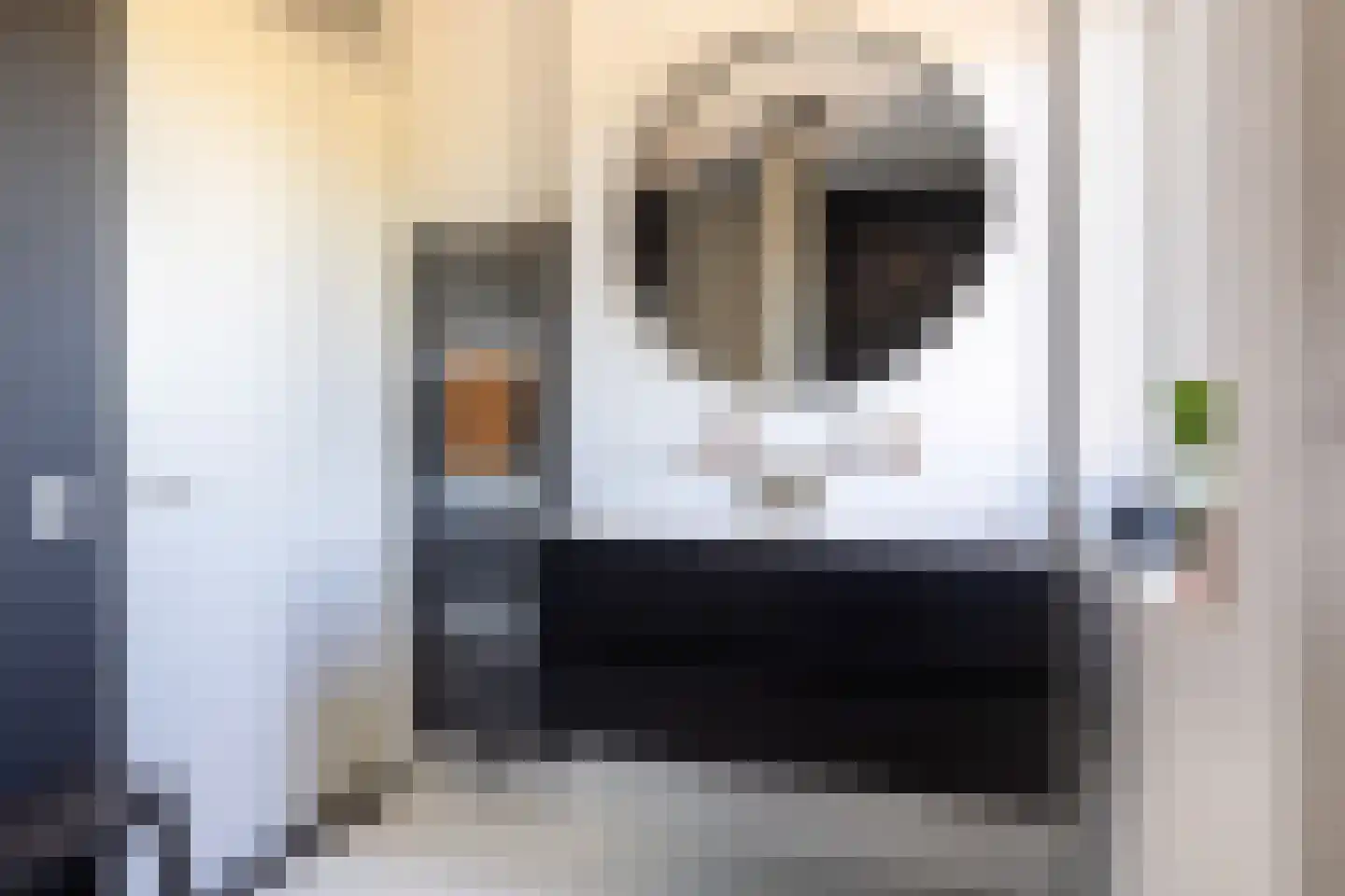 Menkingastrjitte 6 Stiens thumbnail 40