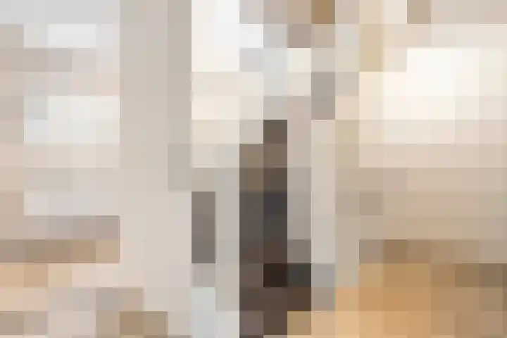 Menkopad 2 Enschede thumbnail 24